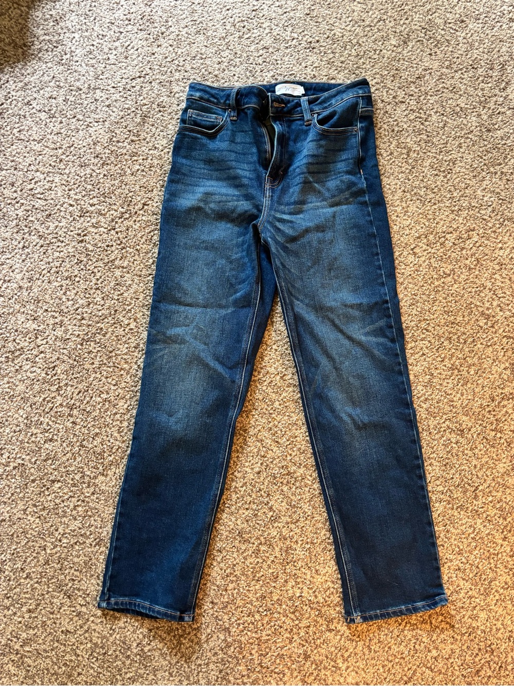 Carly Jean Los Angeles Men's Indigo Straight Jeans